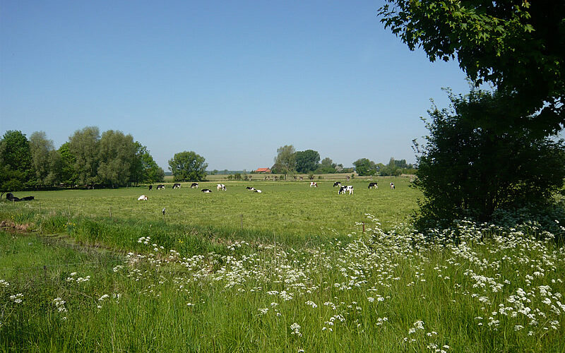 Les avantages de passer du temps à la campagne et à l&rsquo;extérieur